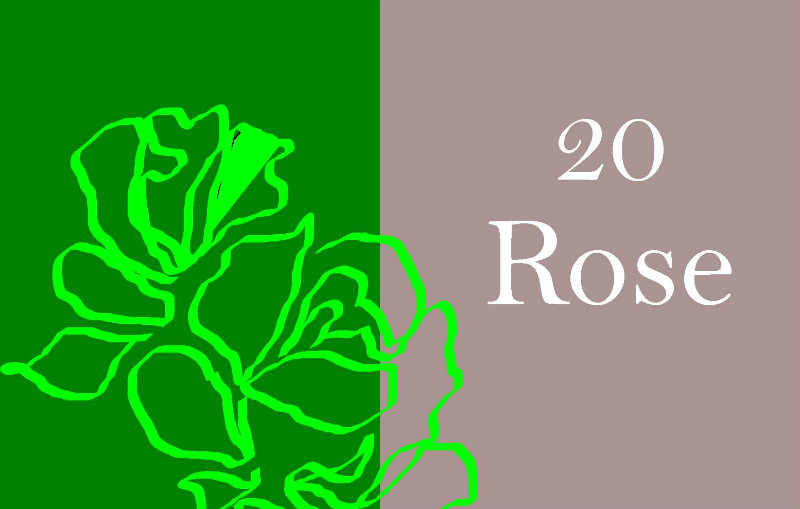 20 Rose - Spettacolo teatrale sulla storia delle sorelle Bucci, realizzato dagli alunni della scuola media Margherita Hack